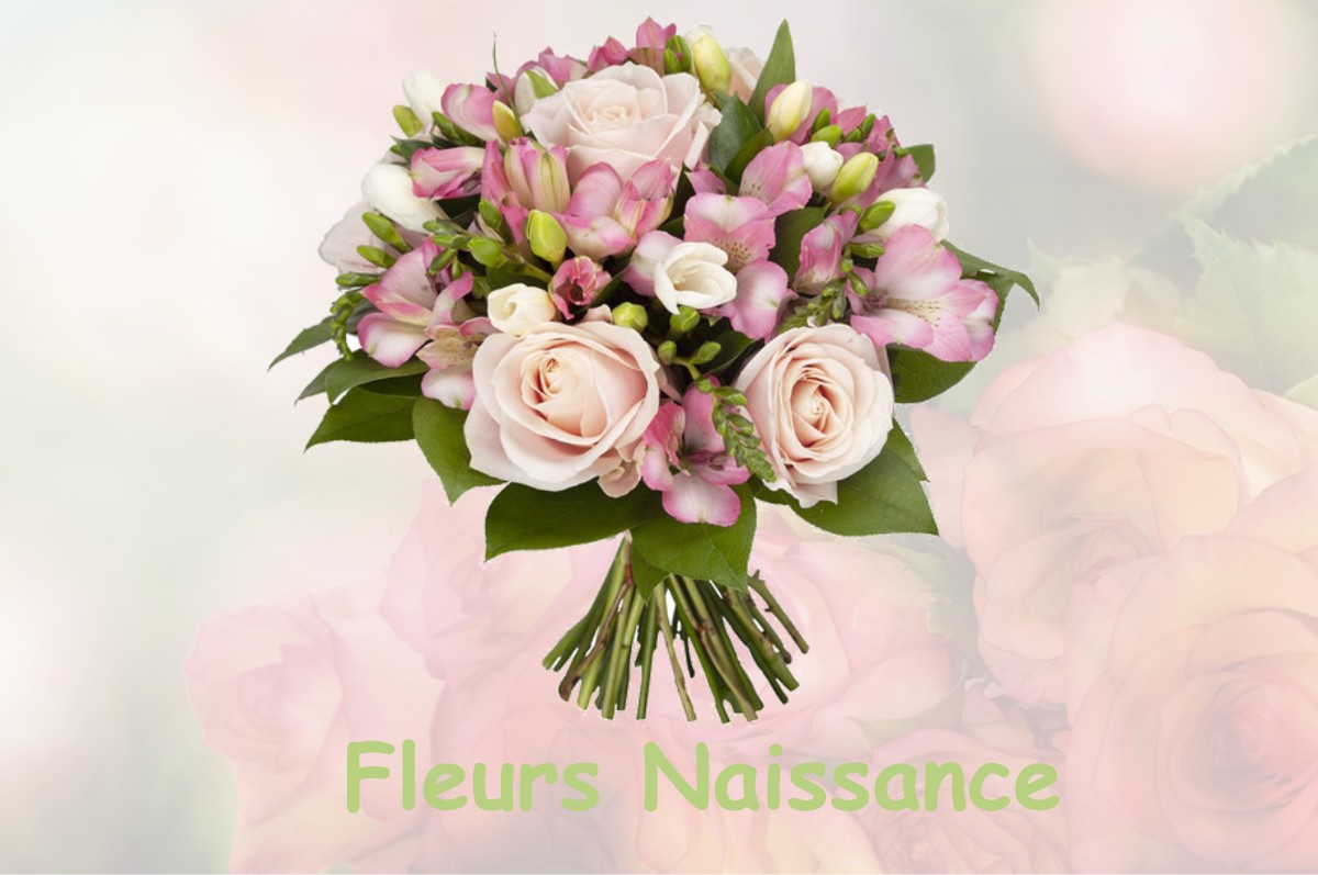 fleurs naissance SALIES-DU-SALAT