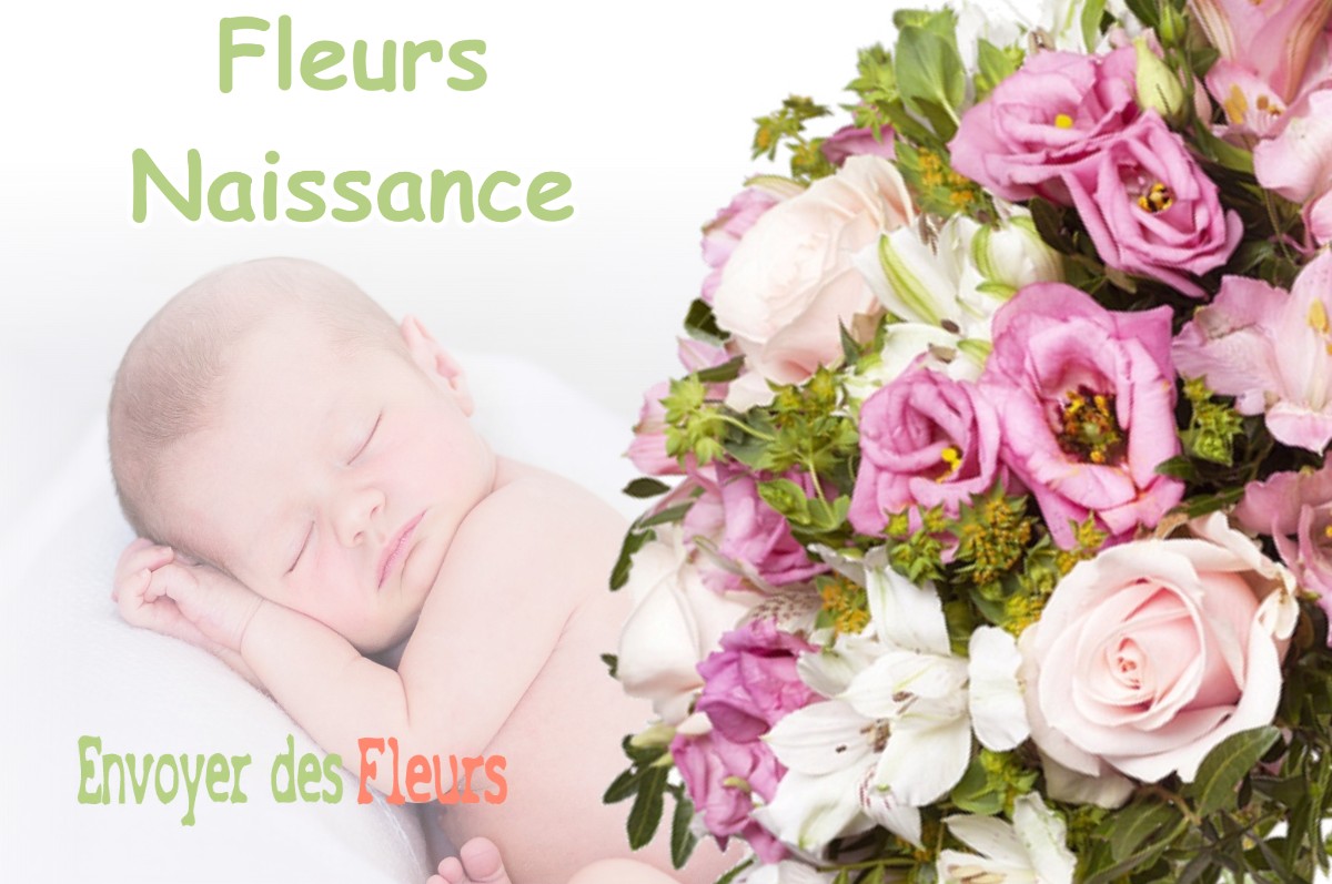 lIVRAISON FLEURS NAISSANCE à SALIES-DU-SALAT